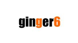 Ginger 6