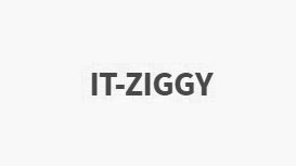 IT ZIGGY Computer Support